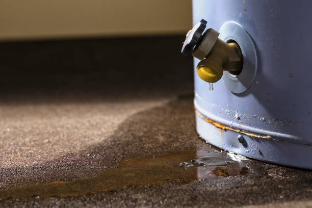 Best 24/7 water damage repair  in Farmingdale, NY