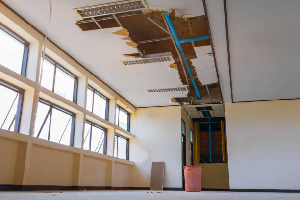 Best Sewage cleanup and water damage restoration  in Farmingdale, NY