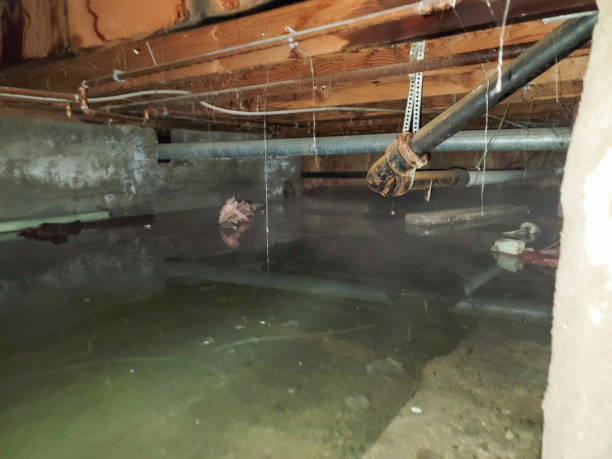 Best Water damage restoration specialists  in Farmingdale, NY