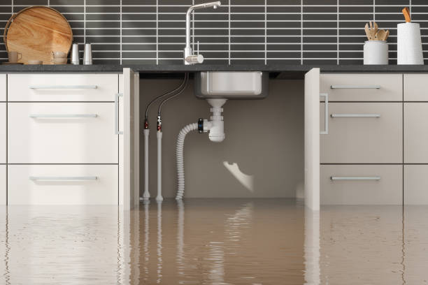 Best Local water damage restoration  in Farmingdale, NY