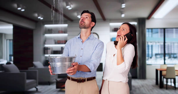 Best Flooded house restoration  in Farmingdale, NY